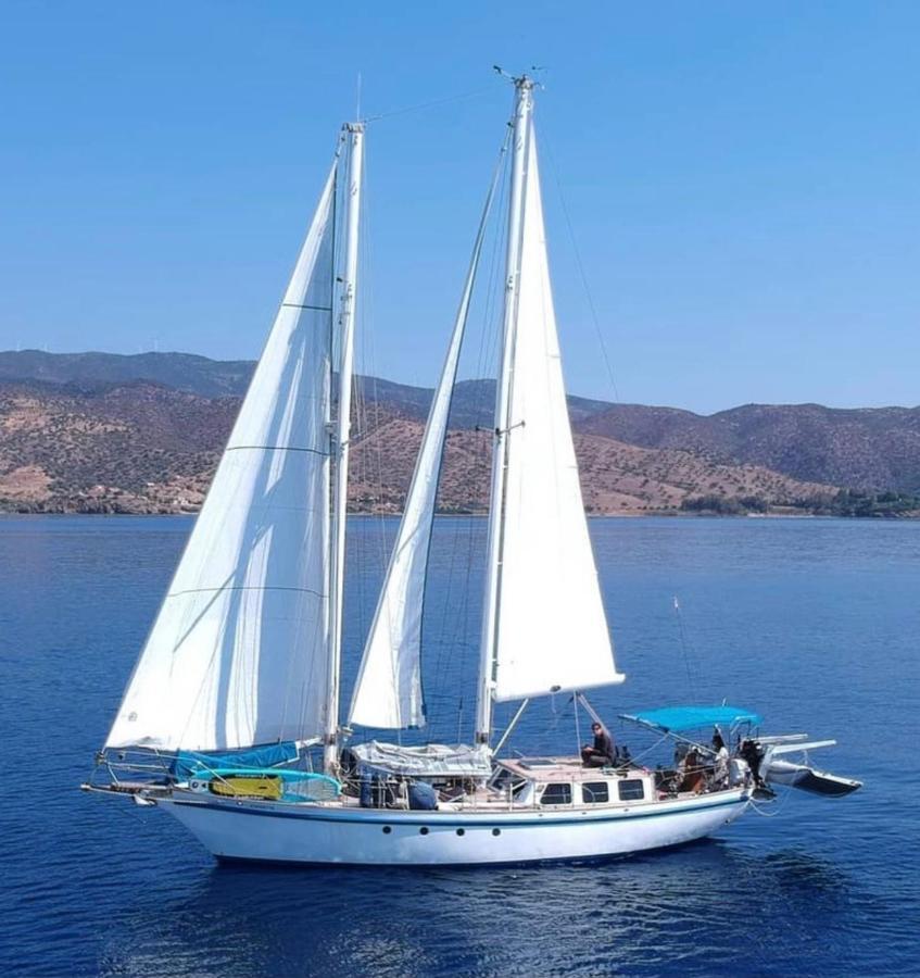 Fantastico Velero En Barcelona 호텔 산트 아드리아 데 베소스 외부 사진